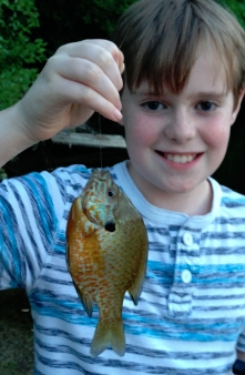 Pumpkinseed Sunfish caught fishing Newburgh Lake by Tight Lines