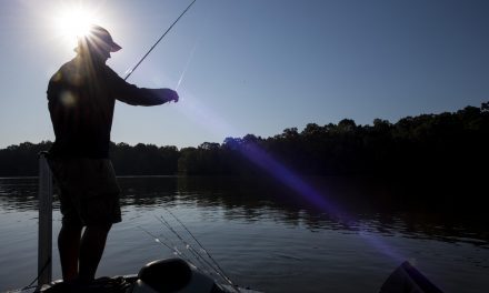 Best Fishing in Alabama