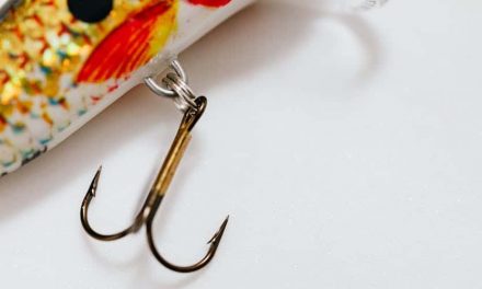 Top 5 Bass Fishing Hooks