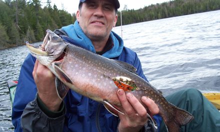 Finding Trophy Brook Trout on Wilderness Lakes
