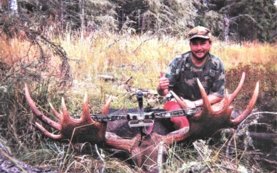 Tag-teaming for Record Moose