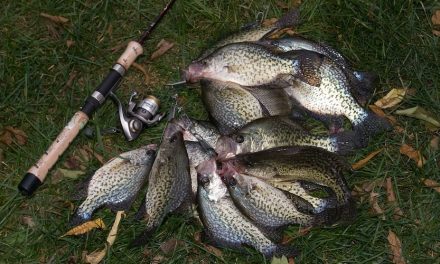 How To Target Panfish: A Beginner’s Guide
