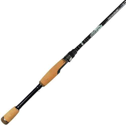 The Dobyns Sierra, the best bass fishing rod for smallmouth, against a white background.