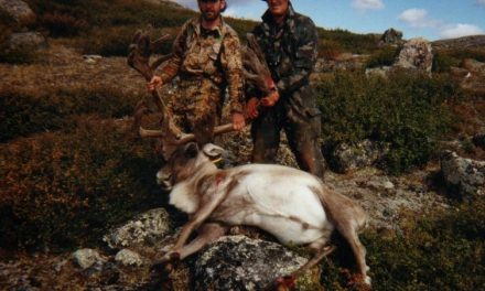 Quest for Record Book Caribou