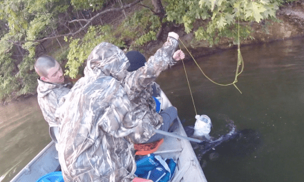 How to Catch Catfish in Lakes: A Beginner’s Guide