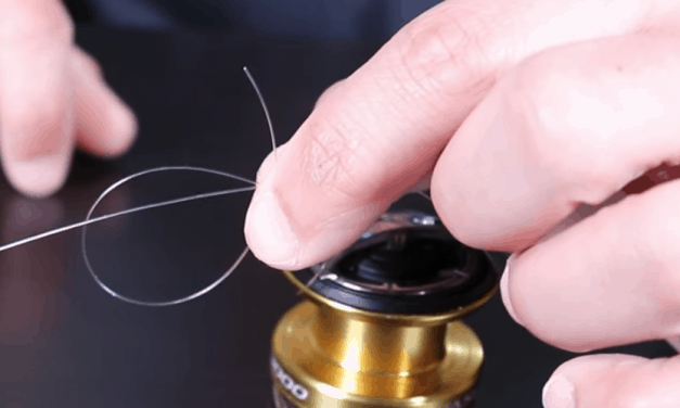 How to Tie an Arbor Knot