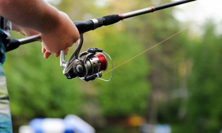 Beginner’s Guide to Fishing: Learn How To Fish Today