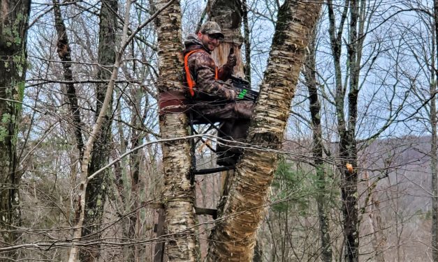 Tree stand Hunting for success!