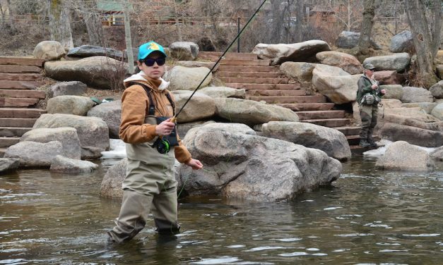 Beginners Guide to Fly Fishing: How To Fly Fish