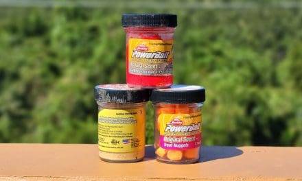 Best PowerBait Flavors for Trout in 2021