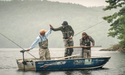 Live Bait for Catfish – 3 Best Catching Methods