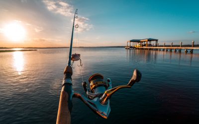 6 Best Places for Bass Fishing in Florida