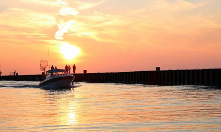 6 Best Charters in Lake Huron