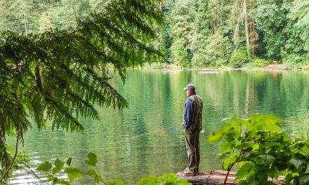 8 Best State Parks for Fishing
