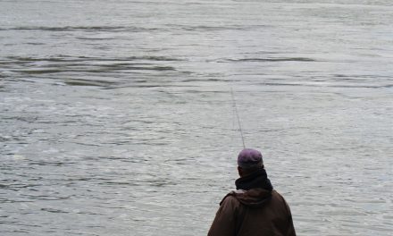 How to Fish on the Niagara River