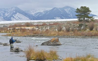 6 Best Fly Fishing Rivers in Montana