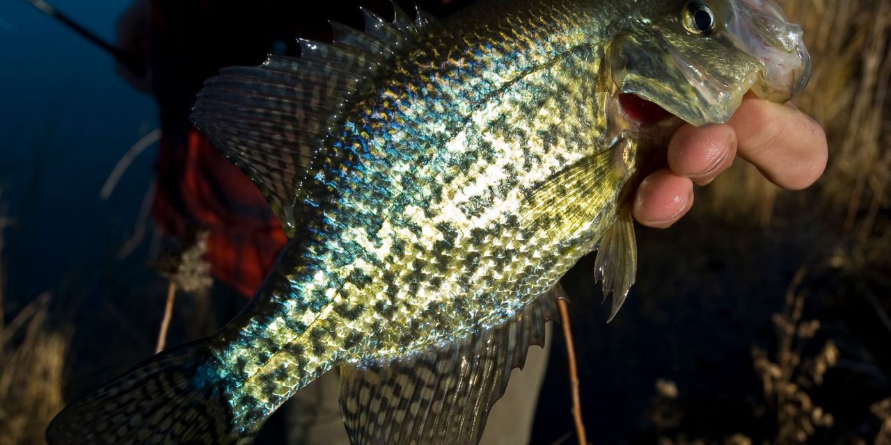 5 Best Places For Fall Crappie Fishing