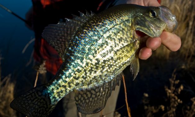 5 Best Places For Fall Crappie Fishing