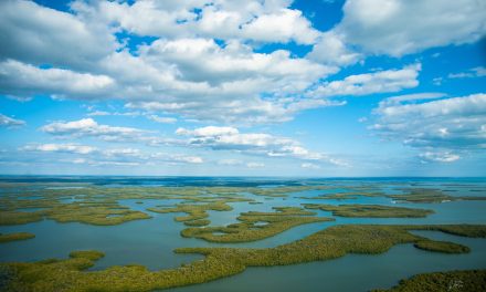How to Fish in Florida’s Ten Thousand Island Wildlife Refuge