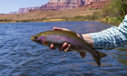 Everything to Know About Fishing in Grand Canyon National Park