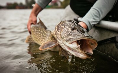 9 Strange Fishing Laws in the US