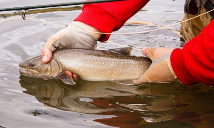 10 Best Fishing Spots for Bull Trout