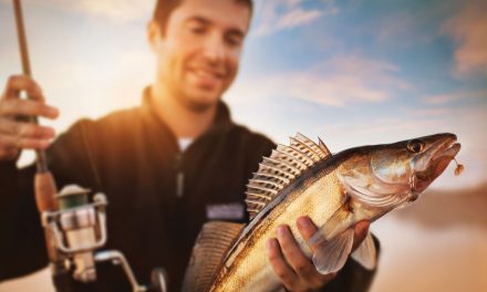 6 Late Fall Fishing Tips To Catch More Fish