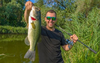 7 Best Non-Traditional Bass Bait