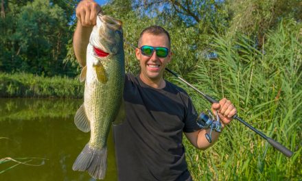 7 Best Non-Traditional Bass Bait