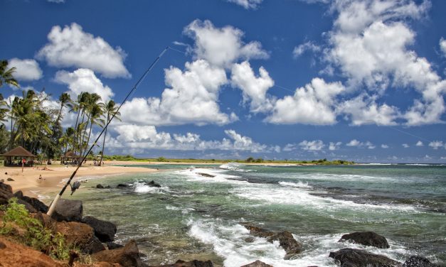 Do Tourists Need a Fishing License in Hawaii?