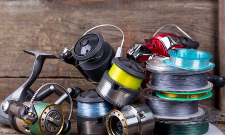 What is a Monofilament Line?