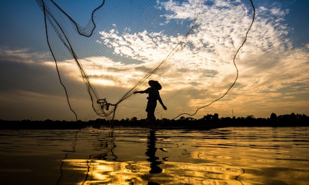 10 Tips for Selecting a Cast Net