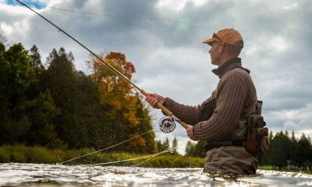 5 Best Places For Fall Trout Fishing