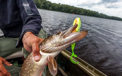 6 Fall Bass Fishing Lures