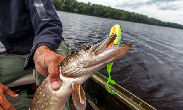 6 Fall Bass Fishing Lures