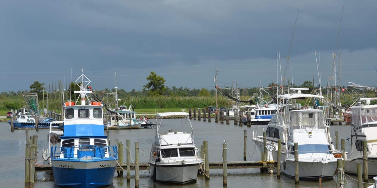 The Best Fishing Towns in Louisiana