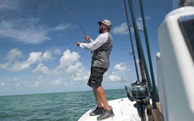 5 Best Saltwater Fishing Rods for 2024!
