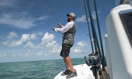 5 Best Saltwater Fishing Rods for 2024!