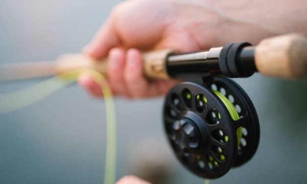 Choosing the Best Fly-Fishing Rod