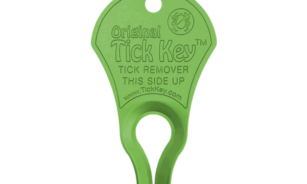 Tick Keys: The best Tools for Tick Removal