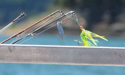 What Color Lure To Use for Deep Water Fishing?