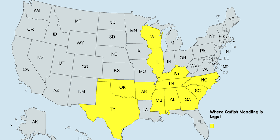 A map of the United States of America depicting where noodling catfish is legal.
