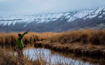 Why You Should Go Fishing in the Winter