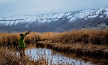 Why You Should Go Fishing in the Winter