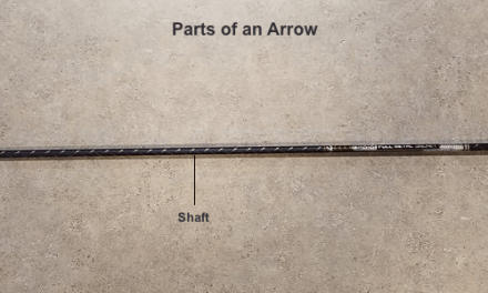 Arrows: Anatomy of an Arrow