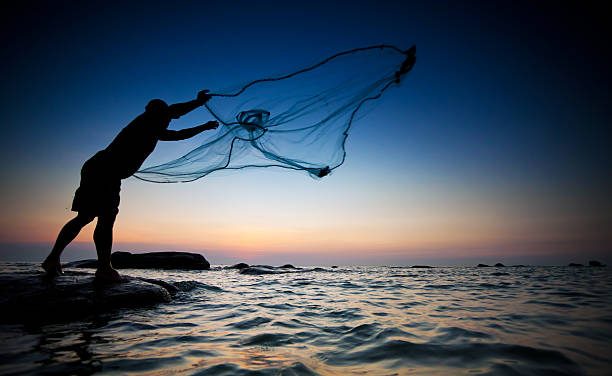 Throw the Perfect Cast Net for Bait!