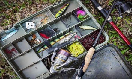 Best Tackle Box Setup for Beginners: 11 Things to Carry