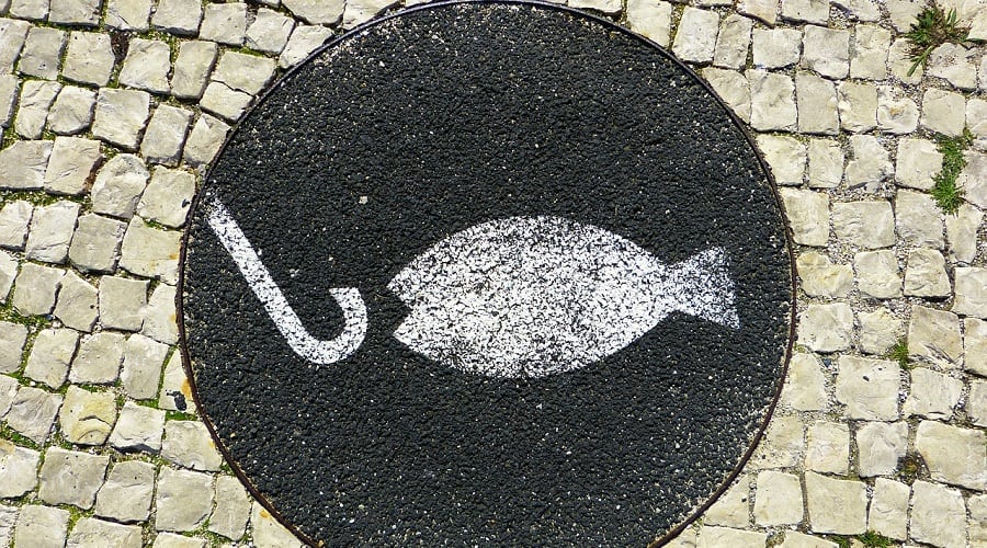 a fish mural