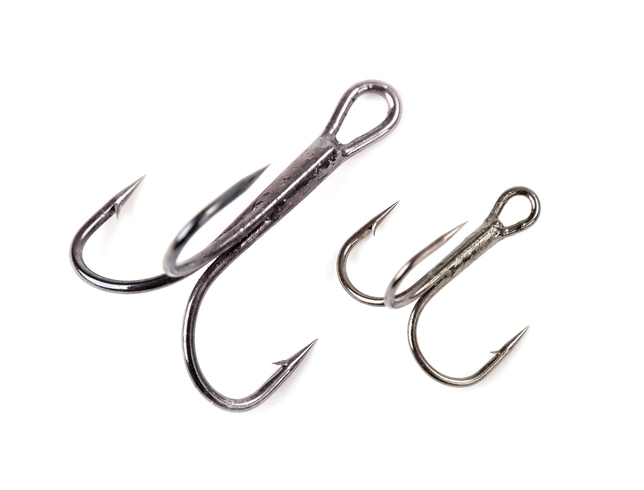 Our Guide to Catfish Hooks - Hook & Bullet