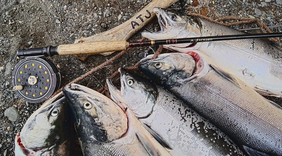 a fly fishing reel and salmon